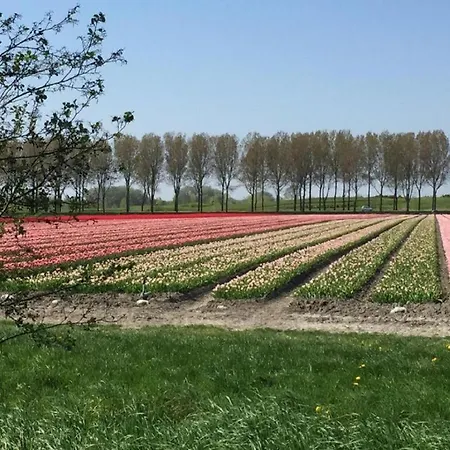 Rekerlanden 267 Ferienpark