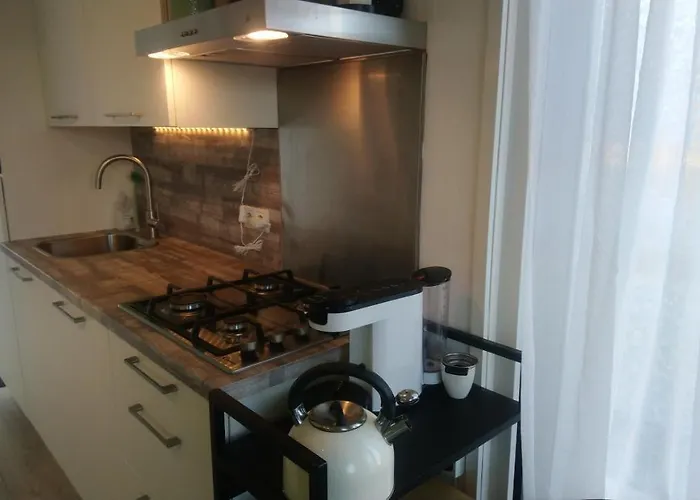 Rekerlanden 267 假日公园 *